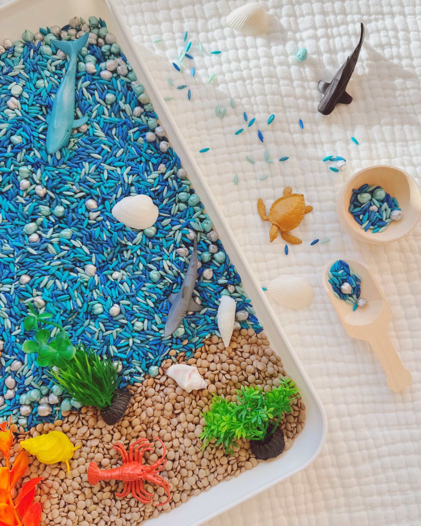 Ocean Explorers - Pour & Play Kit