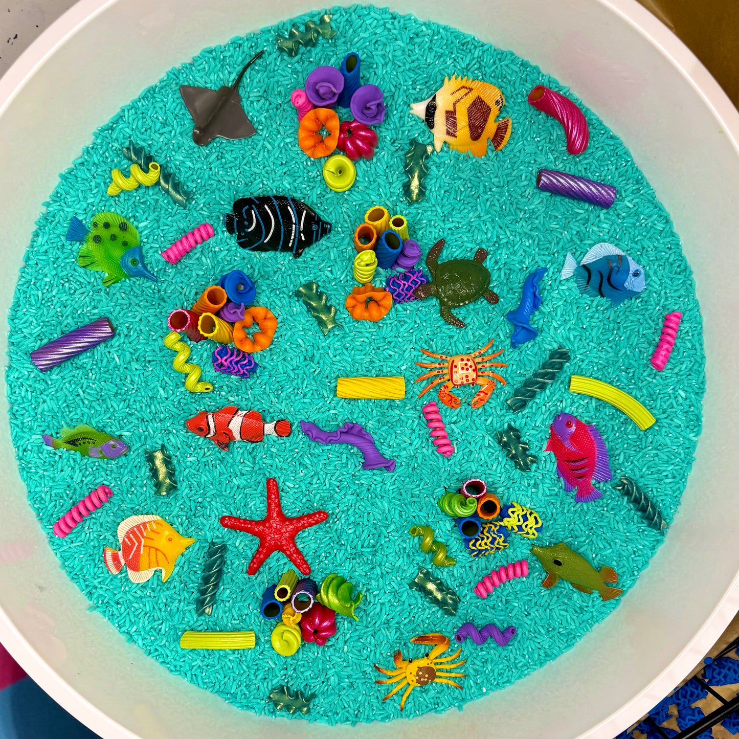 Coral’s Reef - Pour & Play Kit