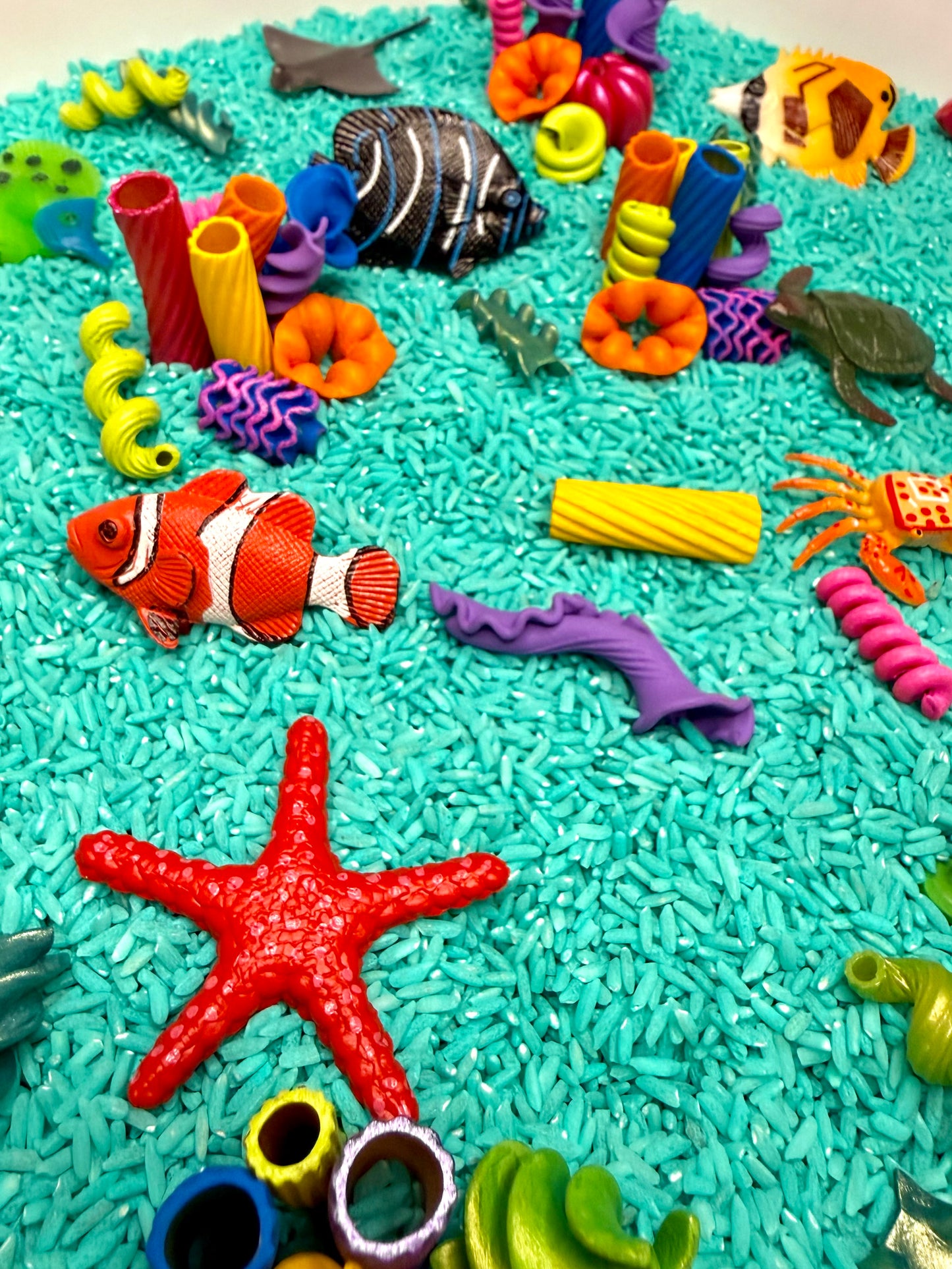 Coral’s Reef - Pour & Play Kit