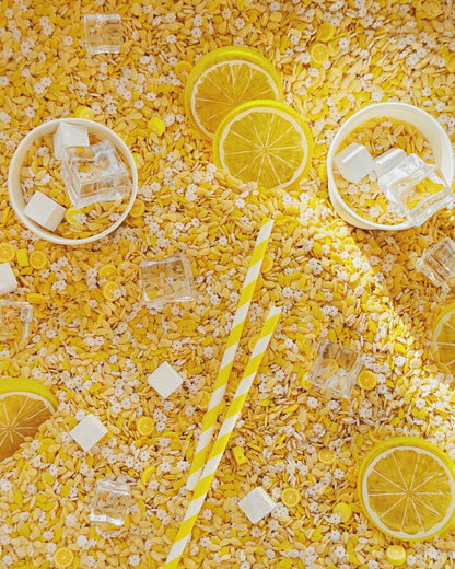Lemonade Stand - Pour & Play Kit
