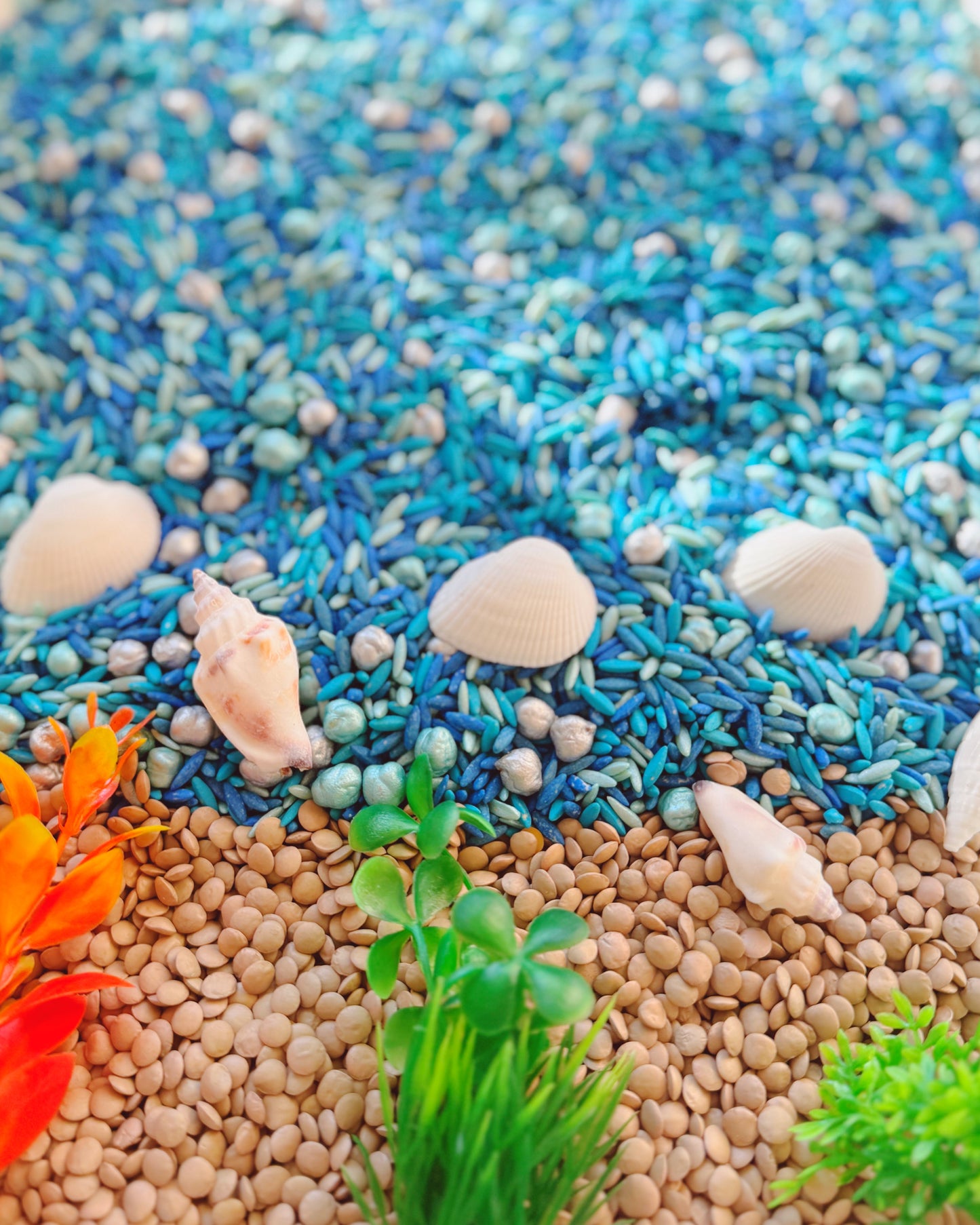 Ocean Explorers - Pour & Play Kit