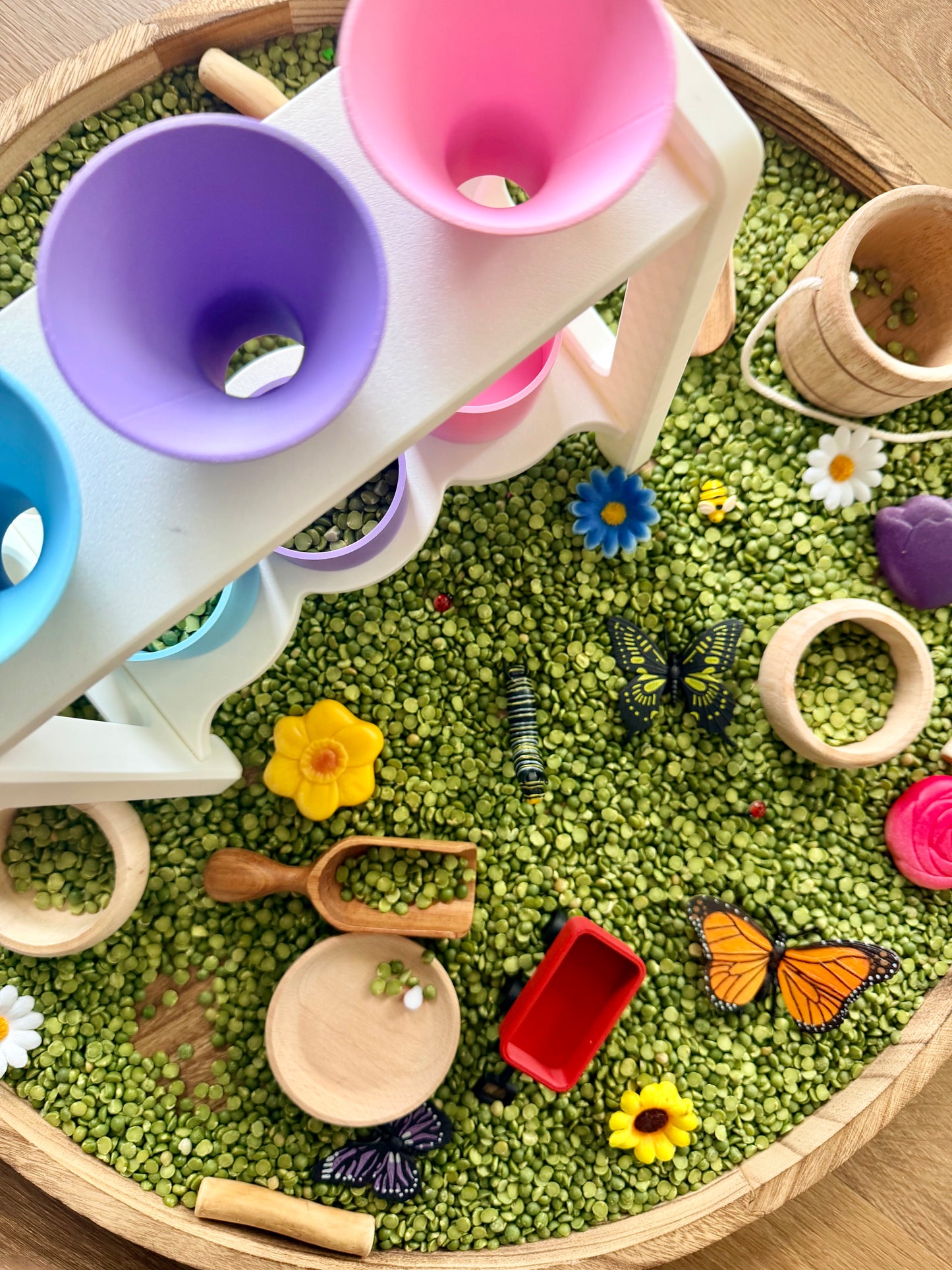 Funnel Fun - Funnel/Cup Set & Stand