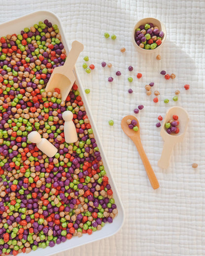 Sensory Bin Filler | Colored Chickpeas | Autumn Sensory Bin | Fall Sensory Bin
